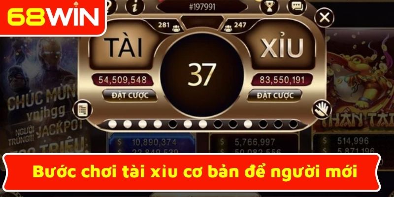 Bước chơi tài xỉu cơ bản để người mới