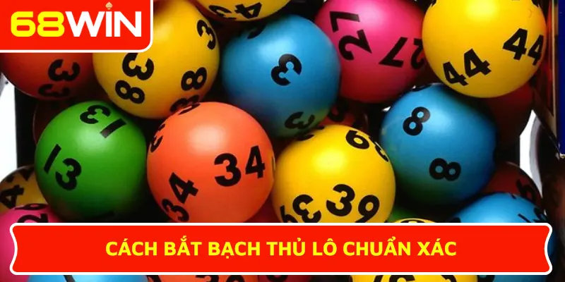 Cách bắt bạch thủ lô chuẩn xác